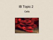 IB Topic 2