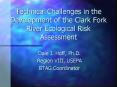 Technical Challenges in the Development of the Clark Fork River Ecological Risk Assessment PowerPoint PPT Presentation