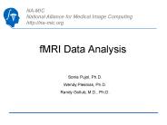 fMRI Data Analysis