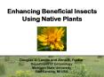 Enhancing Beneficial Insects Using Native Plants PowerPoint PPT Presentation