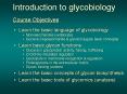 Learn the basic language of glycobiology PowerPoint PPT Presentation