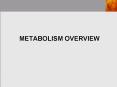 Metabolism overview PowerPoint PPT Presentation