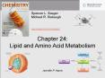 LIPID METABOLISM  PowerPoint PPT Presentation