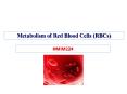 Metabolism of Red Blood Cells (RBCs) PowerPoint PPT Presentation