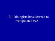 13.1 Biologists have learned to manipulate DNA