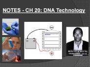 NOTES - CH 20: DNA Technology