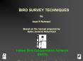 BIRD SURVEY TECHNIQUES PowerPoint PPT Presentation