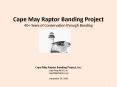 Cape May Raptor Banding Project PowerPoint PPT Presentation