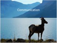Communication