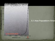 5.1 How Populations Grow