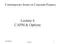 Lecture 4 CAPM PowerPoint PPT Presentation