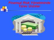 Finansal Risk Y