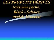 LES PRODUITS D