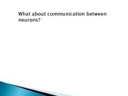 How do neurons communicate?