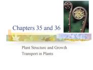 Chapters 35 and 36