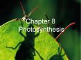 Chapter 8 Photosynthesis PowerPoint PPT Presentation
