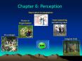 Chapter 6: Perception PowerPoint PPT Presentation