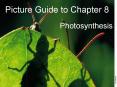 Picture Guide to Chapter 8 PowerPoint PPT Presentation