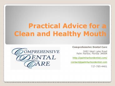 Dental Palm Harbor FL