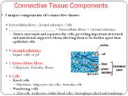 Connective Tissue Components