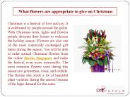 What flowers are appropriate to give on Christmas