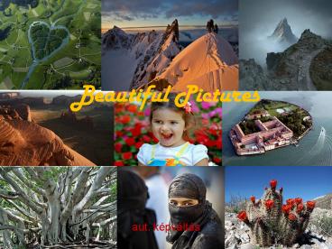 Beautiful Pictures