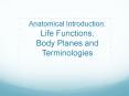 Anatomical Introduction: Life Functions, Body Planes and Terminologies PowerPoint PPT Presentation
