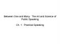 Between One and Many: The Art and Science of Public Speaking PowerPoint PPT Presentation