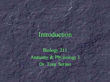 Biology 211