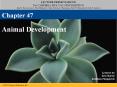 Animal Development PowerPoint PPT Presentation