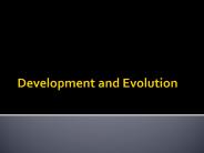 Development and Evolution