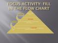 Focus Activity: Fill in the flow chart PowerPoint PPT Presentation