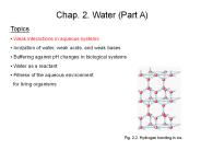 Lehninger Principles of Biochemistry