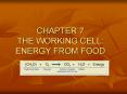 CHAPTER 7 THE WORKING CELL: ENERGY FROM FOOD PowerPoint PPT Presentation