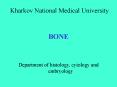 BONE PowerPoint PPT Presentation