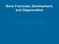 Bone Fractures, Development, and Degeneration PowerPoint PPT Presentation