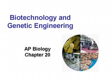 Biotechnology and Genetic Engineering