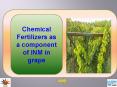 Integrated nutrient management in mango PowerPoint PPT Presentation