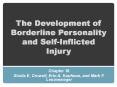 The Development of Borderline Personality and Self-Inflicted Injury PowerPoint PPT Presentation