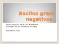 Bacilos gram negativos. PowerPoint PPT Presentation
