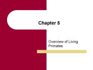 Overview of Living Primates