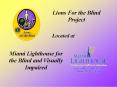 Lions For the Blind Project PowerPoint PPT Presentation