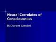 Neural Correlates of Consciousness PowerPoint PPT Presentation