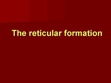 The reticular formation