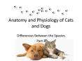 Anatomy and Physiology of Cats and Dogs PowerPoint PPT Presentation