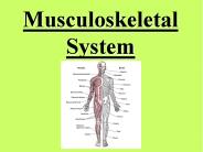 Musculoskeletal System