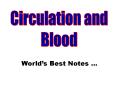 Blood vessels PowerPoint PPT Presentation