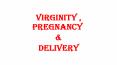 Virginity , Pregnancy PowerPoint PPT Presentation
