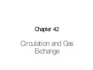 Circulation and Gas Exchange
