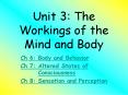 Unit 3: The Workings of the Mind and Body PowerPoint PPT Presentation